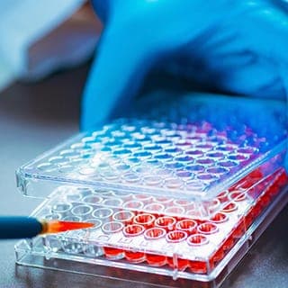 Minimally Manipulated Fat Therapy